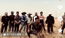 最新爆料杨先生完整版视频,独家爆料背后的真相与细节